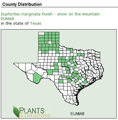 5 snow-mountain USDA-dist-in texas
