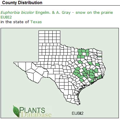 9 snow-prairie USDA_dist-in texas
